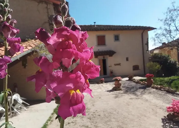 Casa Vacanze Podere Ugolini
