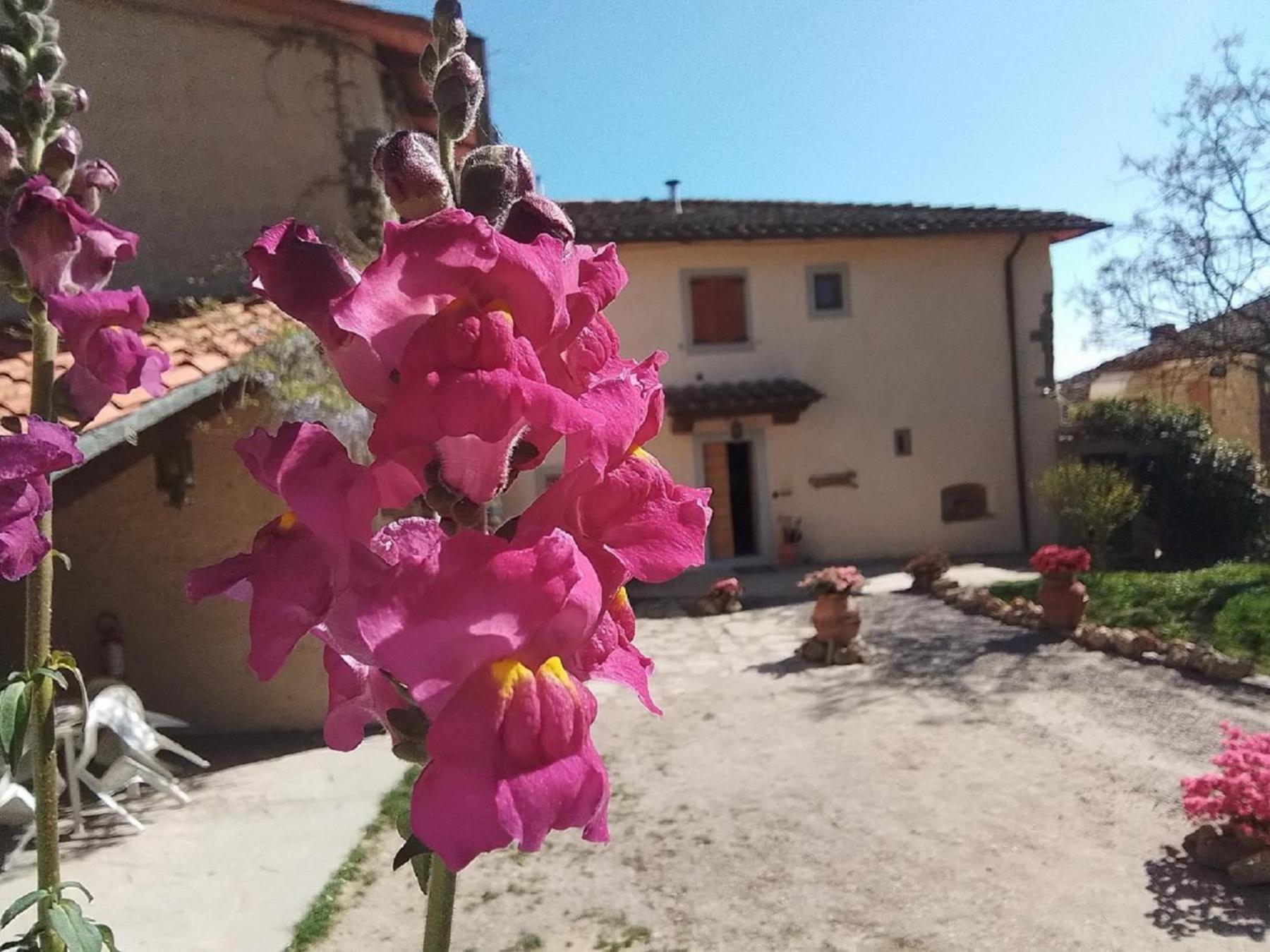 Apartment Casa Vacanze Podere Ugolini Ronta