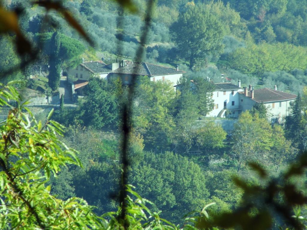 Casa Vacanze Podere Ugolini * Ronta