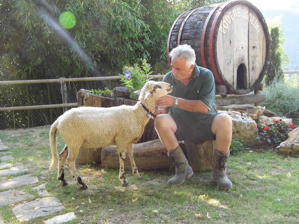 Podere Ugolini
