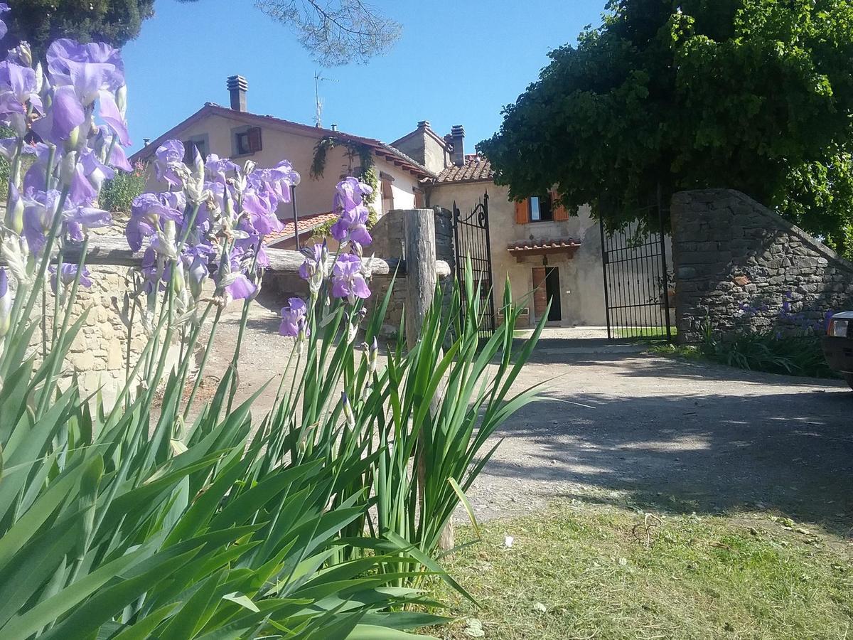 Casa Vacanze Podere Ugolini Ronta